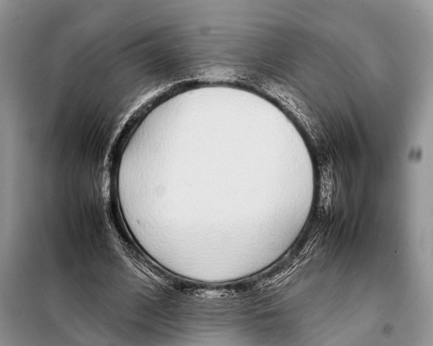 X0000098120584200805021158
