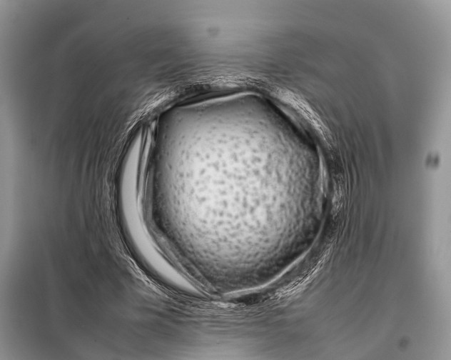 X0000098120585200805021158