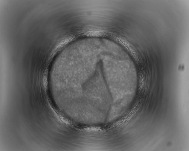 X0000098120586200805021158