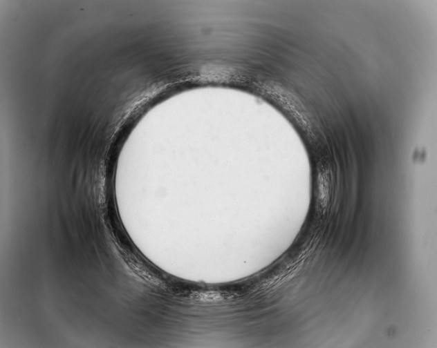 X0000098120588200805021158