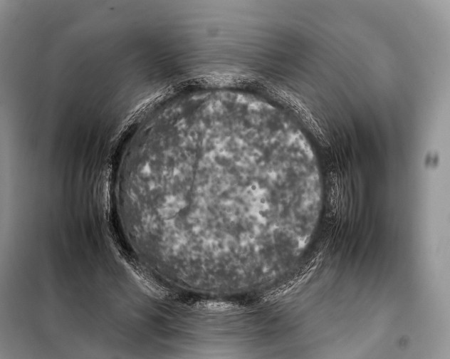 X0000098120590200805021158
