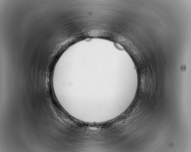 X0000098120592200805021158