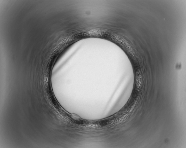 X0000098120593200805021158