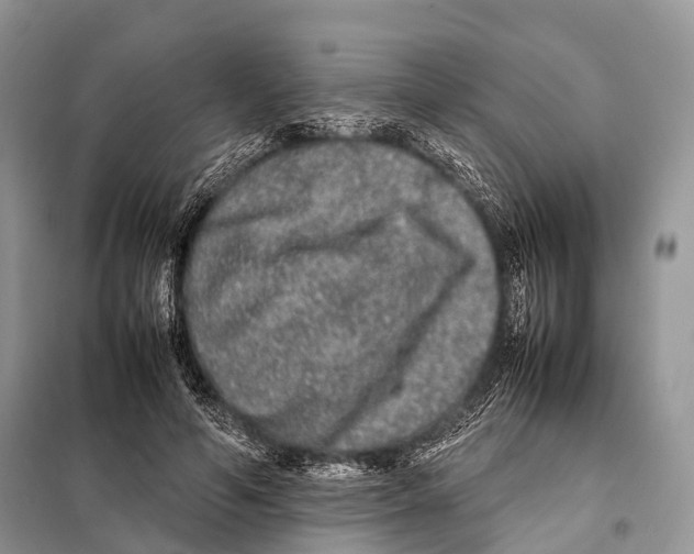 X0000098120594200805021158