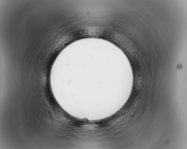 X0000098120595200805021158