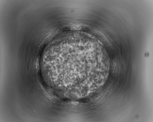 X0000098120598200805021158