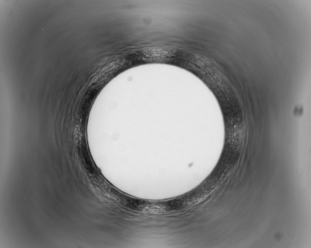 X0000098120599200805021158