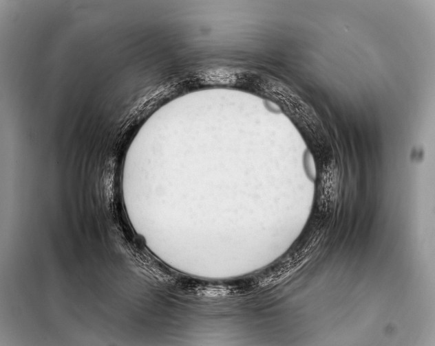X0000098120600200805021158
