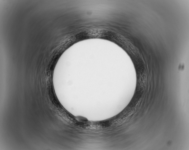 X0000098120601200805021158