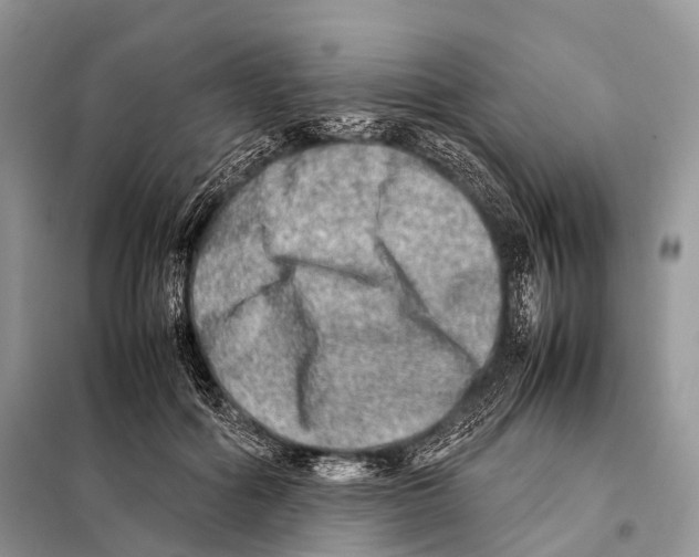 X0000098120602200805021158