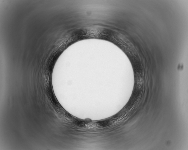 X0000098120603200805021158