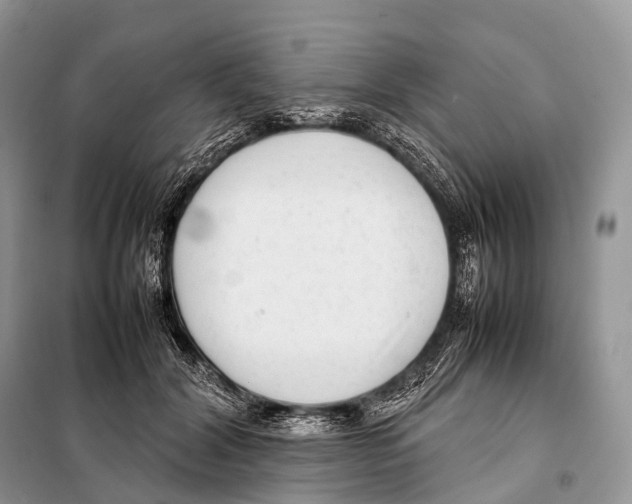 X0000098120604200805021158