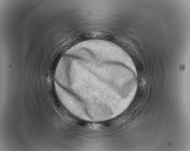 X0000098120607200805021158