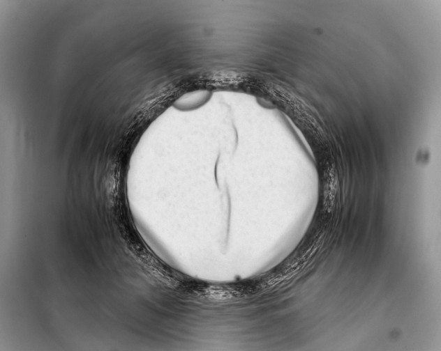 X0000098120608200805021158