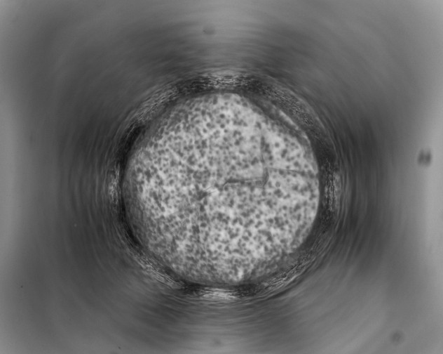 X0000098120610200805021158