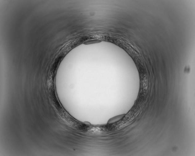 X0000098120611200805021158
