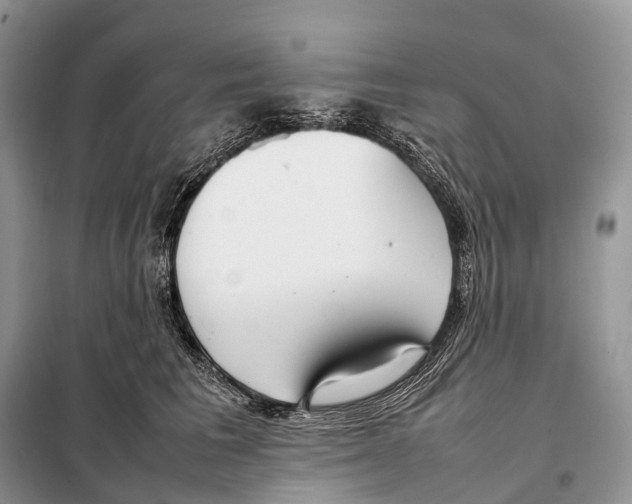 X0000098120613200805021158
