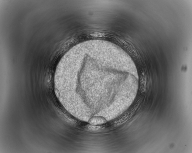 X0000098120614200805021158