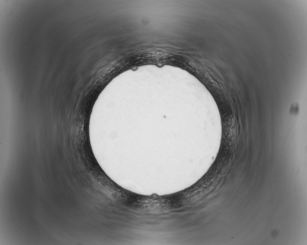 X0000098120615200805021158