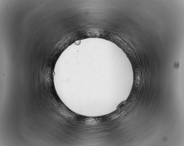 X0000098120616200805021158