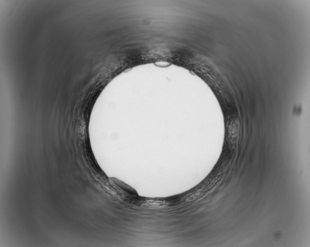X0000098120617200805021158