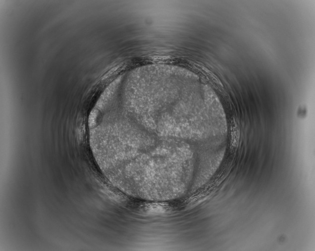 X0000098120618200805021158