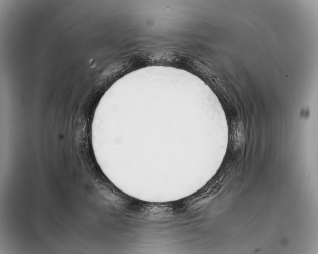 X0000098120619200805021158