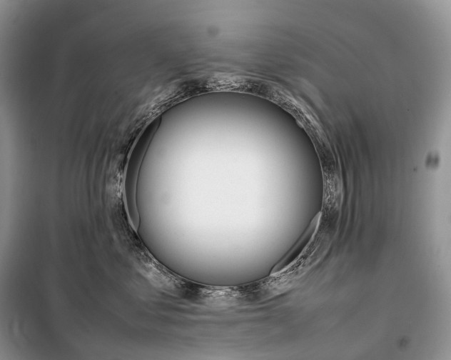 X0000098120621200805021158