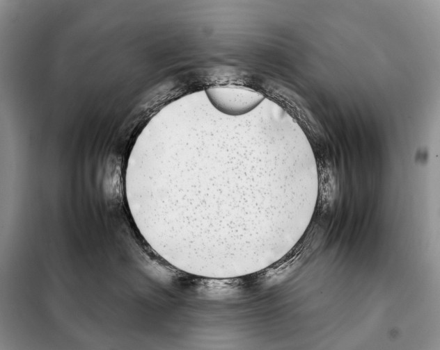 X0000098120622200805021158