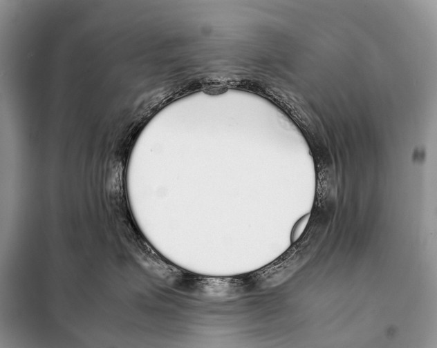 X0000098120623200805021158