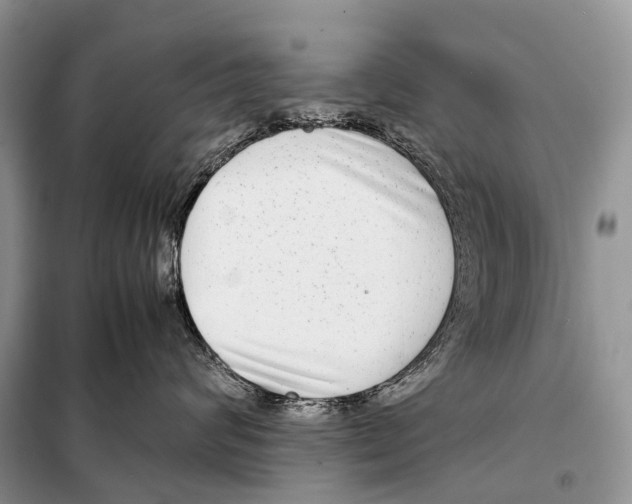 X0000098120624200805021158