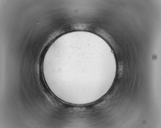 X0000098120626200805021157