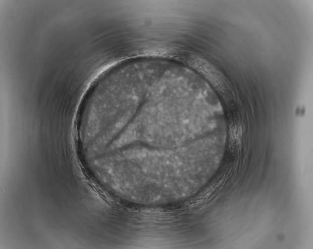 X0000098120628200805021157
