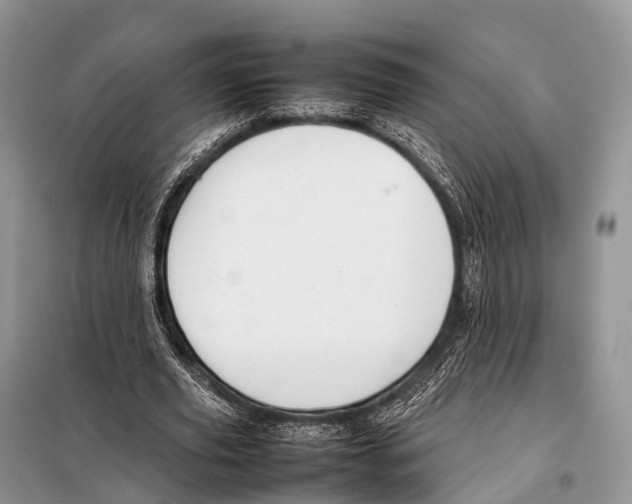 X0000098120629200805021157
