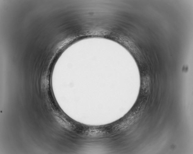 X0000098120632200805021157