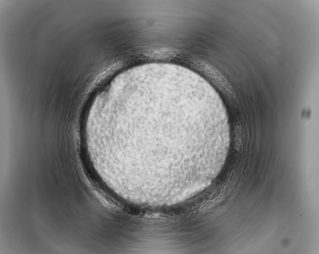 X0000098120634200805021157