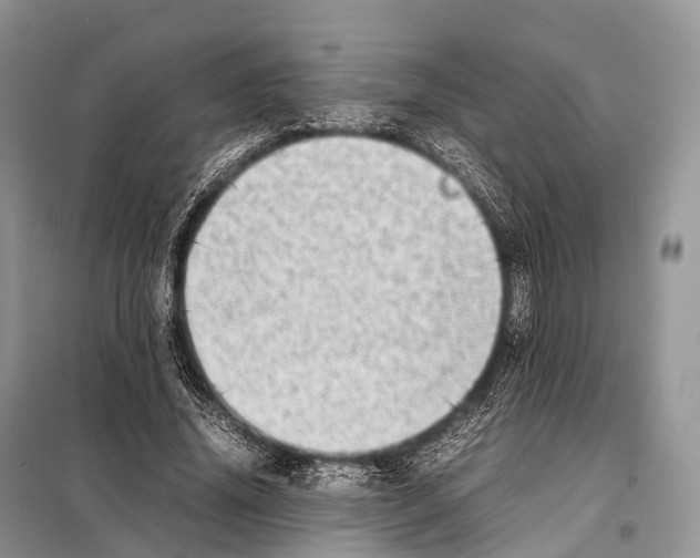 X0000098120636200805021157