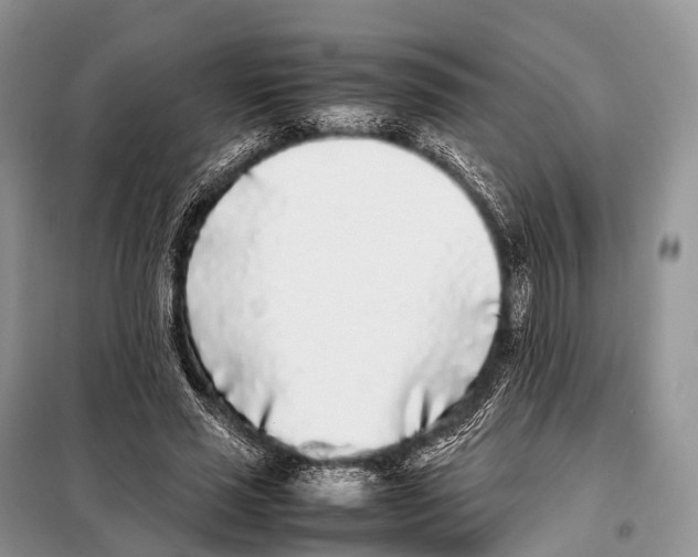 X0000098120637200805021157