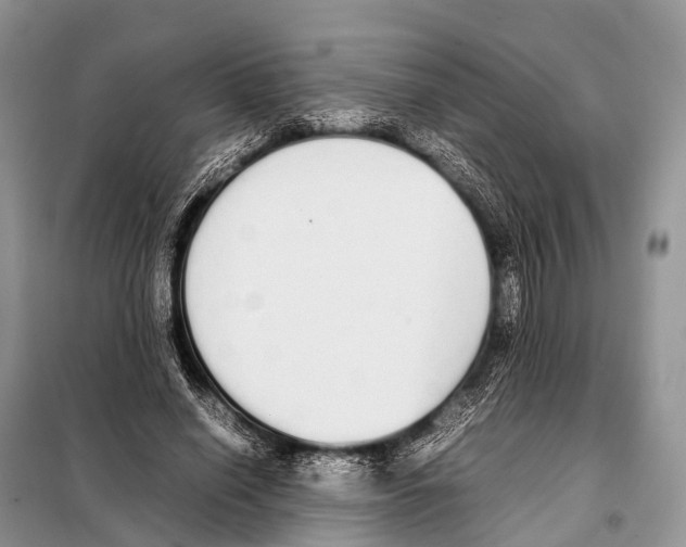 X0000098120638200805021157