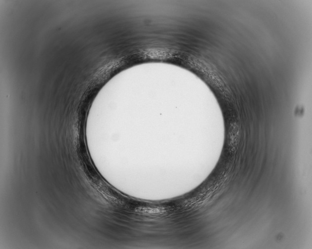 X0000098120639200805021157