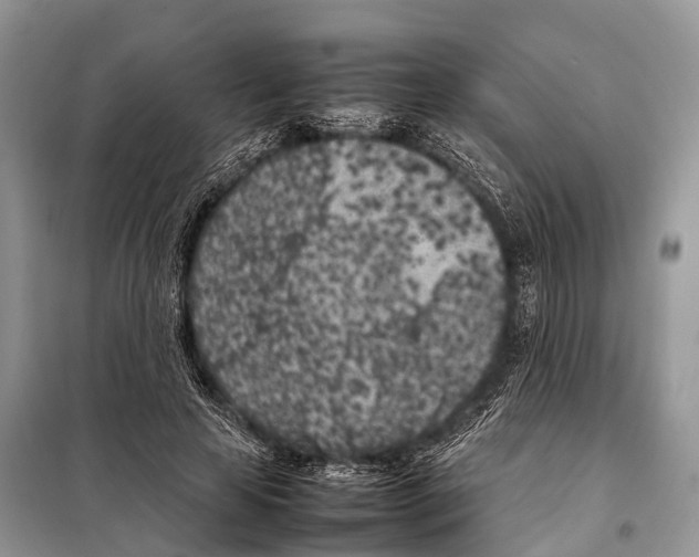 X0000098120641200805021157