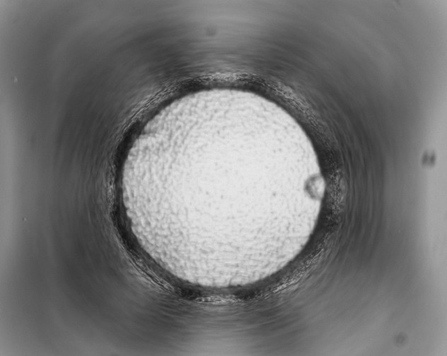 X0000098120642200805021157