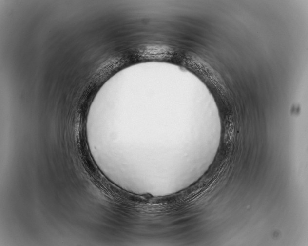 X0000098120647200805021157