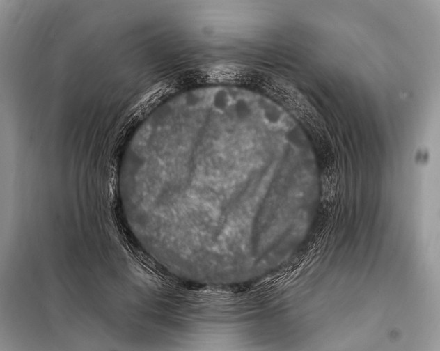 X0000098120648200805021157