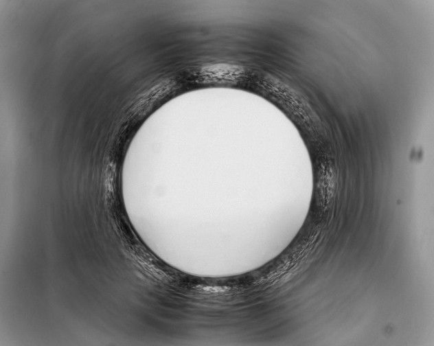 X0000098120649200805021157