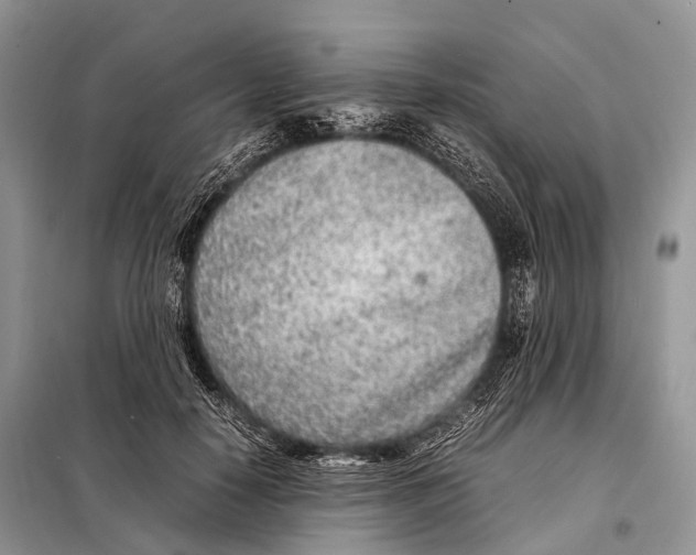 X0000098120650200805021157