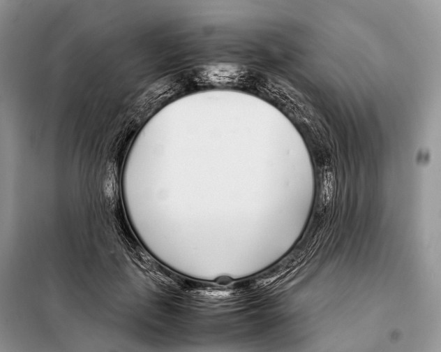 X0000098120651200805021157