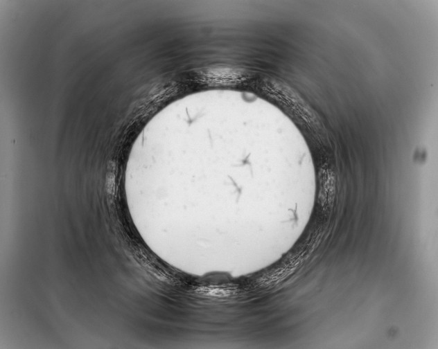 X0000098120655200805021157