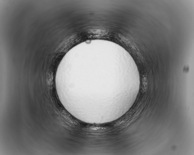 X0000098120657200805021157