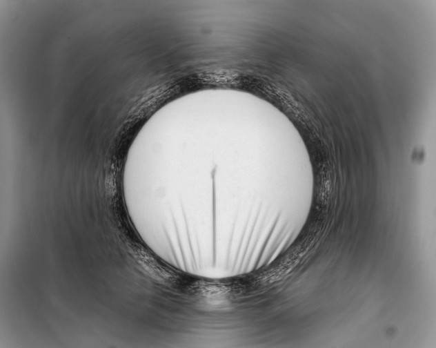 X0000098120658200805021157